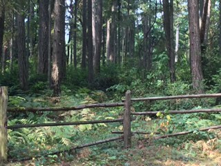 0 83rd Ave Ct NW, Gig Harbor, WA 98335