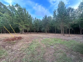 TBD Bethel Chapel Rd, Loris, SC 29569