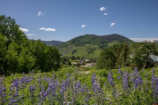 92 Anthracite Dr, Crested Butte, CO 81225
