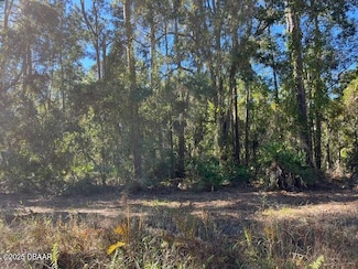 431 Palm Waay Way, Georgetown, FL 32139