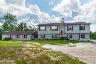 3048 Mollie Rd, Clarendon, NC 28432