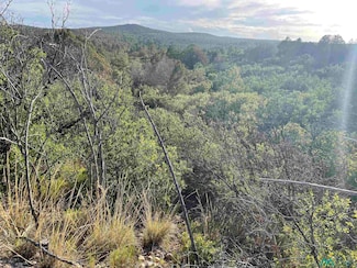 24 La Costa Dr, Timberon, NM 88350