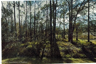 Lot 29 Deedra Dr, Wesley Chapel, FL 33544