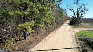 0 Ennis School Rd, Hiltonia, GA 30467