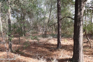 7676 Los Padres Ave, Keystone Heights, FL 32656