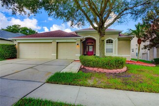 1438 Emerald Hill Way, Valrico, FL 33594