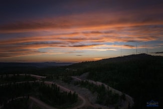 Lot 61 Deer Mountain Resort, Lead, SD 57754