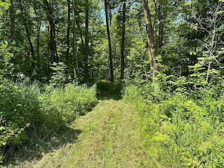 XXY Merlin Rd, Dailey Township, MN 56338