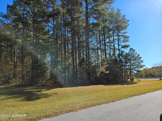 14 Jj Standard Bred, Hertford, NC 27944