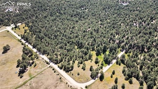 18380 Black Squirrel Rd, Black Forest, CO 80908