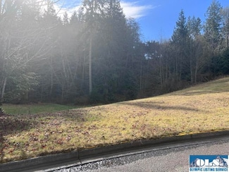 Lot 17 S Del Guzzi Dr, Port Angeles, WA 98362