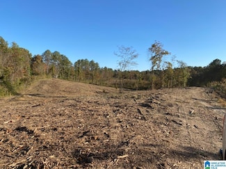 2011 Mccay Dr Unit Lot 4, Morris, AL 35116
