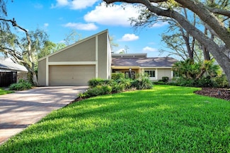 11712 Palmer Dr, Tampa, FL 33624