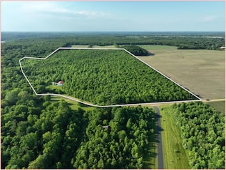 4331 Lake Chapin Rd, Berrien Township, MI 49103