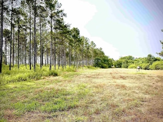 28940 Highway 78, Carbon Hill, AL 35549