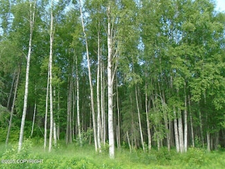 93 S Parks Hwy, Willow, AK 99688