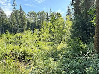 17 Xxx Jim Creek Rd, Arlington, WA 98223