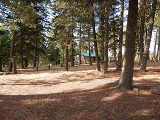 1274 Bear Creek Rd, Princeton, ID 83857