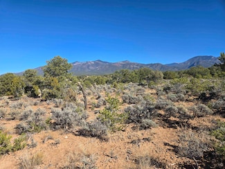 TBD Hondo Seco Rd, El Prado, NM 87529
