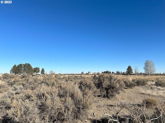 0 Maple Circle Rd Unit 400 23439185, Christmas Valle, OR 97641