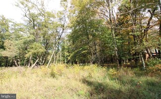 37 Daisy Ct, Terra Alta, WV 26764