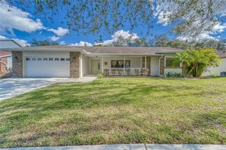 1809 Tanstone Place, Brandon, FL 33510