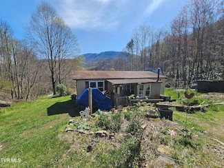 149 Doty Rd, Roan Mountain, TN 37687