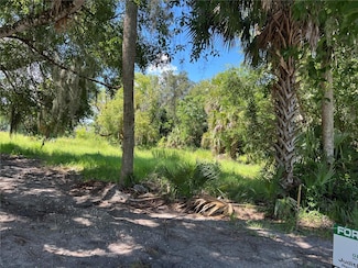 104 W Michael Gladden Blvd, Apopka, FL 32703