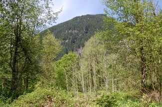 113 Chapman Rd, Randle, WA 98377
