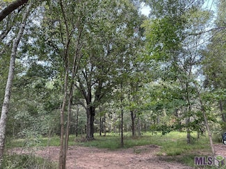 12615 Gurney Rd, Baker, LA 70714