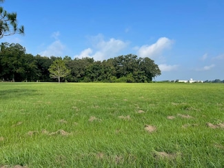 00 #10 Oak Bend Circle 4 38 Acres, Cairo, GA 39828