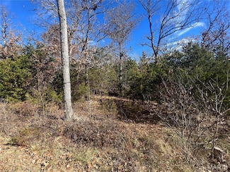 0 Rue Riviera, Bonne Terre, MO 63628