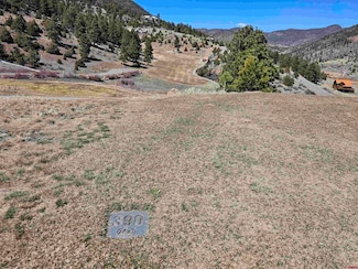 365 Rio Grande Club Trail, South Fork, CO 81154