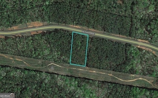 115 Heights Ave, Forsyth, GA 31029