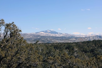 Tract 1 Tbd Bostwick Park, Montrose, CO 81403