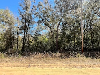 Tbd Walker Dr, Interlachen, FL 32148