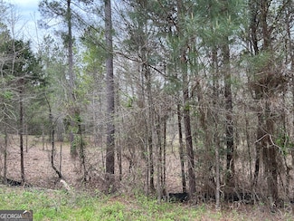 0 Hornets Bridge Rd Unit 10523061, Elberton, GA 30635