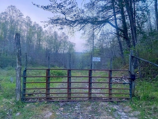 768 Clinton Stiltner Rd, Frenchburg, KY 40322