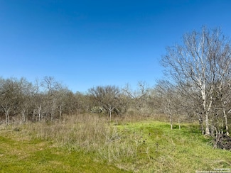 0 Cr 138 Unit 1850050, Kenedy, TX 78119