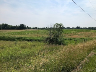 00 Dutch Ridge Rd - Lots #8 & 9, Scriba, NY 13126