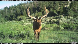 1272 County Road 5, Meeker, CO 81641