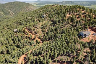 13294 N Firedog Way, Larkspur, CO 80118