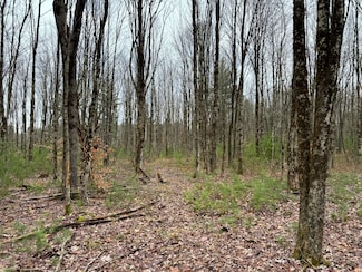 0 Preston Hill Rd, Camden, NY 13316