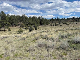 TBD White Tail Ln, Loghill Village, CO 81432