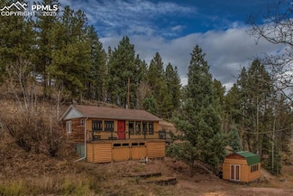 361 Willow Rd, Divide, CO 80814