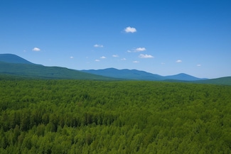 0 Mud Pond Rd, Dummer, NH 03588
