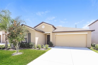 10204 Carloway Hills Dr, Wimauma, FL 33598