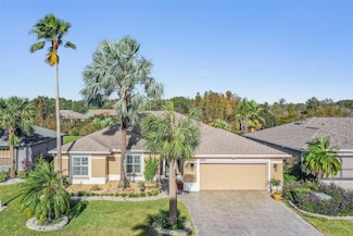 10520 Collar Dr, San Antonio, FL 33576