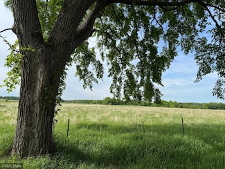 TBD - #1 Blossom St, South Fork Township, MN 56358