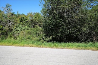 6436 Easley Ln, Sandia, TX 78383